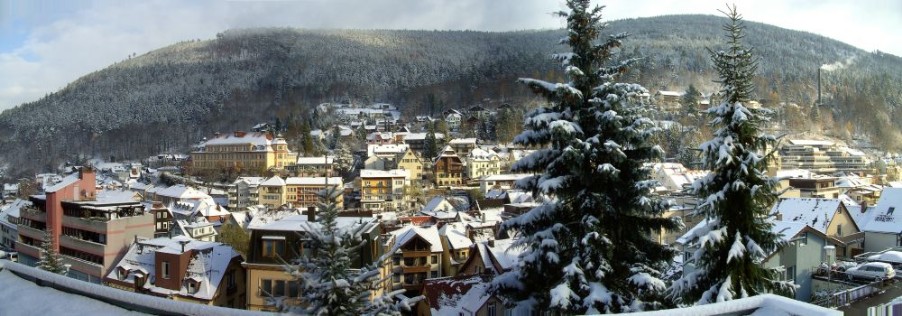 Panoramablick Bad Wildbad