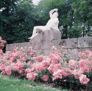 Rosengarten im Kurpark Bad Wildbad